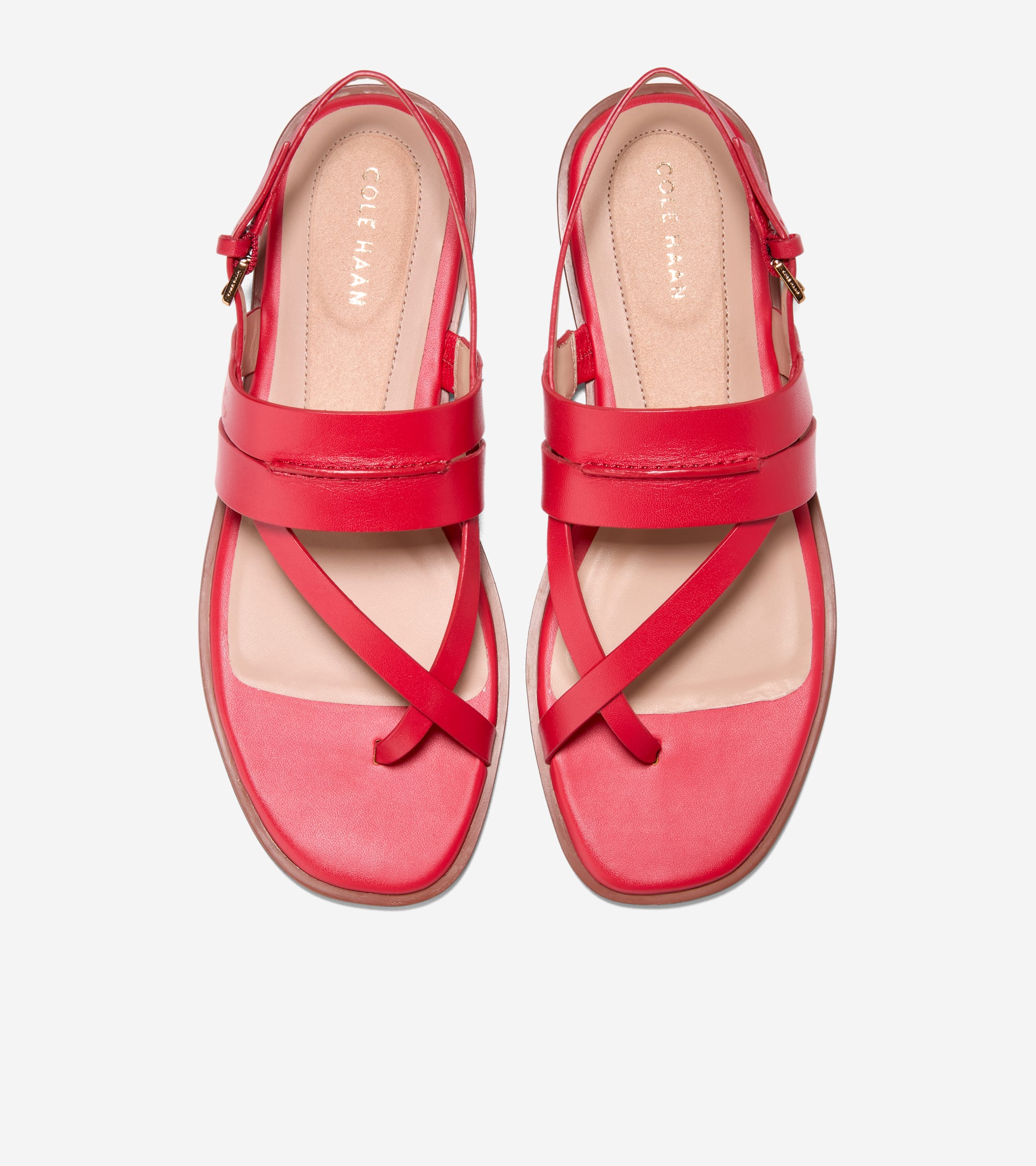 Women's Go-To Estella Flat Thong Sandals - Image 4